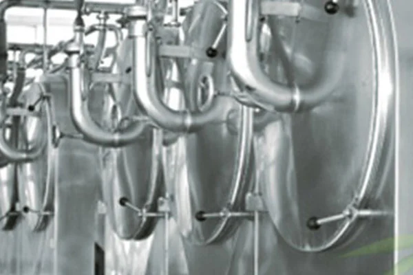 Modified Corn Starch E1442 Hot Swelling Modified Corn Starch E1442 Hot Swelling